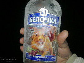 Пол-литра водки (водка). - фото №5